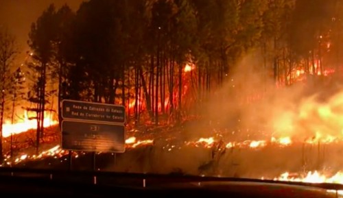 <p>Incendio cerca del municipio de Nigrán (Pontevedra), la noche del 15 de octubre. </p>