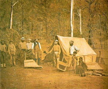 <p>Buscadores de oro durante la fiebre del oro australiana. </p>