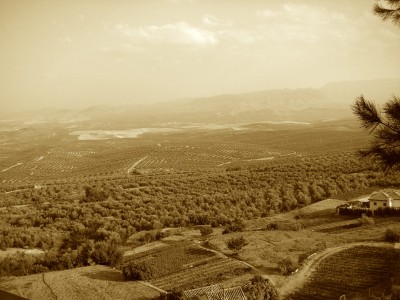 <p>Vista de los cerros de Úbeda. </p>