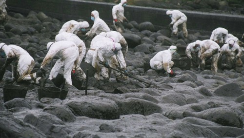 <p>Voluntarios limpian chapapote de una playa gallega.</p>