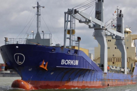 <p>Imagen de archivo del carguero 'Borkum'. / <strong>VesselFinder</strong></p>