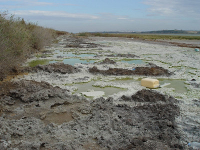 <p>Suelo con residuos tóxicos derivados de la producción de fertilizante en Huelva. /<strong> Santini Rose</strong></p>