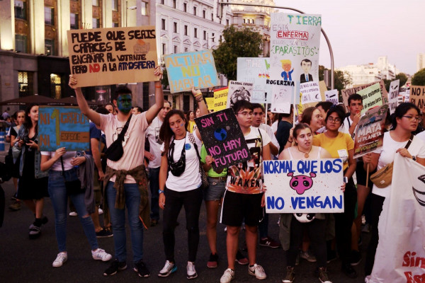 <p>Manifestación en Madrid en la huelga mundial por el clima de septiembre de 2019. / <strong>Nicolas Vigier</strong></p>