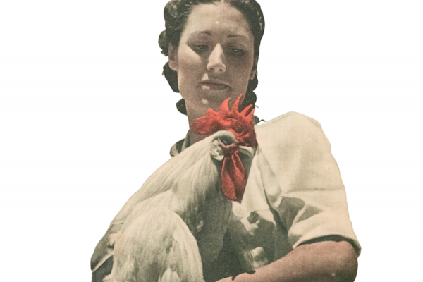 <p>          Foto de Gerardo Contreras Saldaña para la revista <em>Semana.</em><em> Lo animal en España, 1920-1964. </em></p>