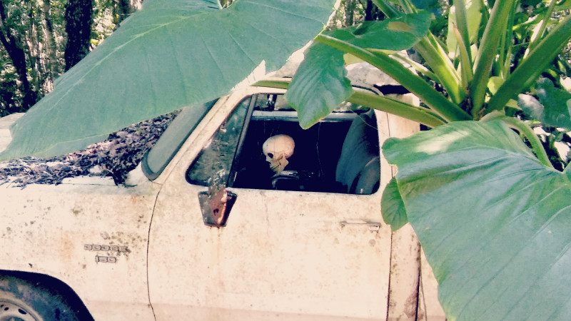 <p>Coche abandonado en la selva de México.</p>