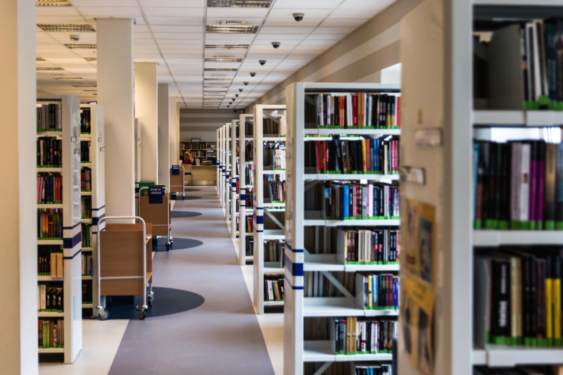 <p>Biblioteca de una universidad. </p>