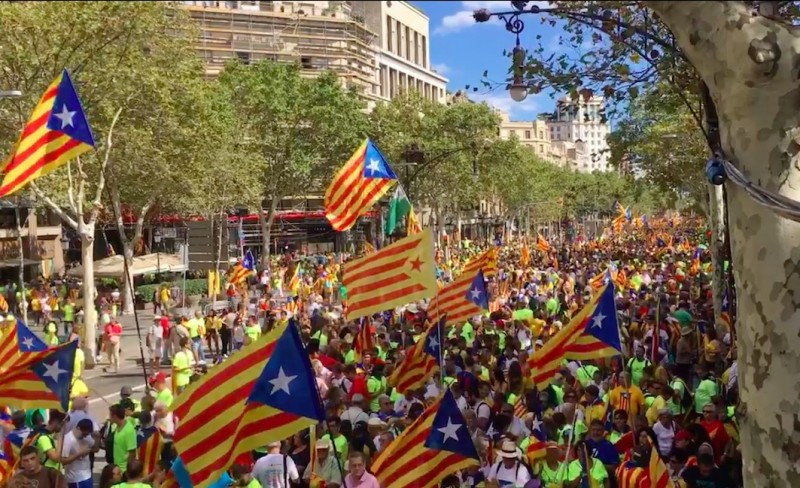 <p>Diada 2017.</p>