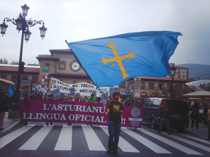 <p>Manifestación de les lletres asturianes 2007</p>