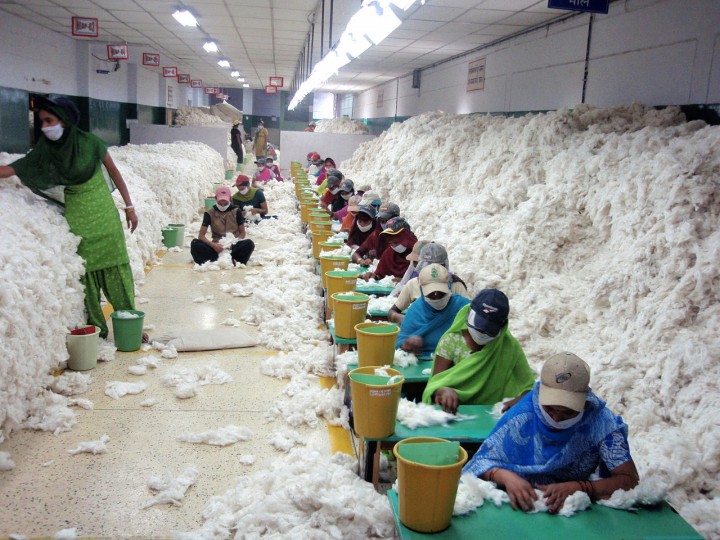 <p>Descontaminación de algodón en una hilandería de India</p>