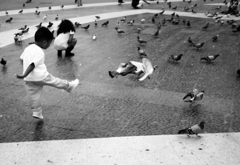 <p>Niños jugando en la Plaza Cataluña, Barcelona. </p>