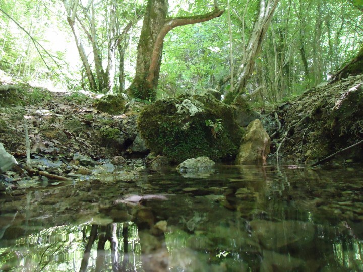 <p>Zona especial de conservación en la Comunidad Foral de Navarra.</p>