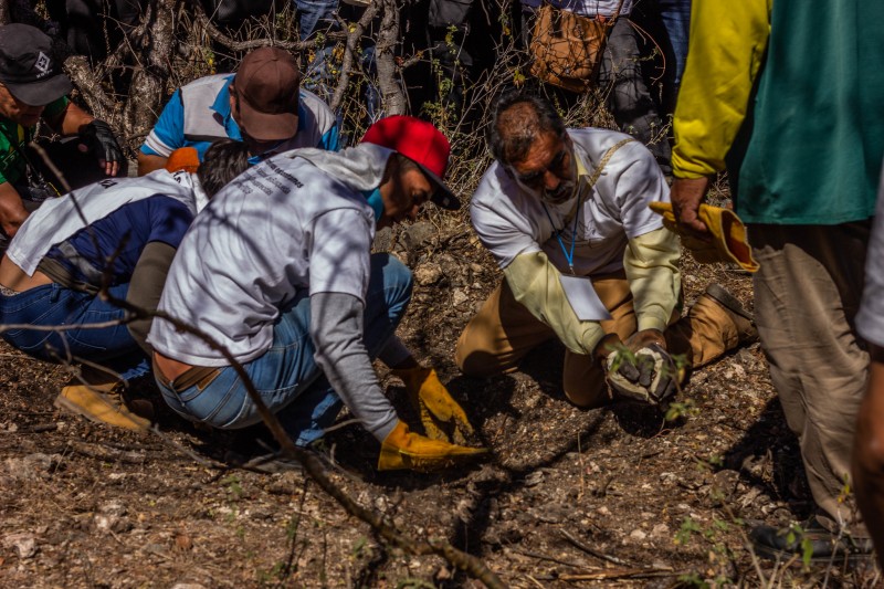 <p>Miembros de la IV Brigada Nacional de Búsqueda de Personas Desaparecidas inspeccionan el terreno.</p>