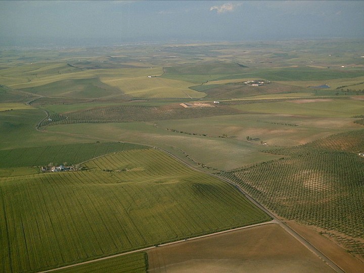 <p>Paisaje de la campiña sur de Cordoba. </p>