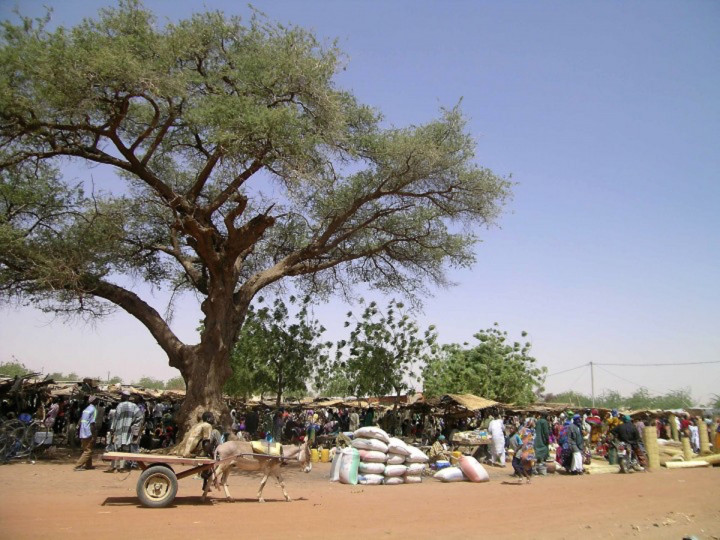 <p>Mercado de Gorom-Gorom en la provincia de Oudalan, Burkina Faso. </p>