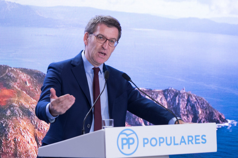 <p>Alberto Núñez Feijóo, en la Xunta directiva del PP de A Coruña en diciembre de 2018.</p>