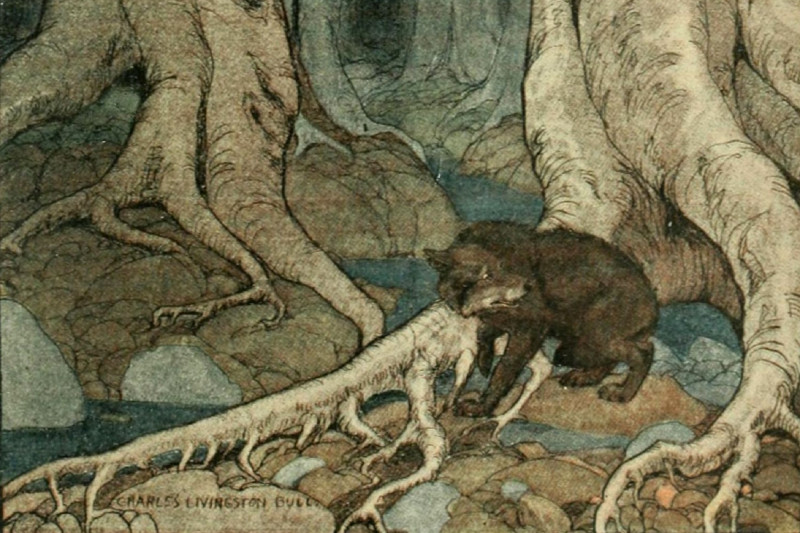 <p>Fragmento de una ilustración de 'Colmillo blanco' de Jack London. Charles Livingston Bull (1906).</p>