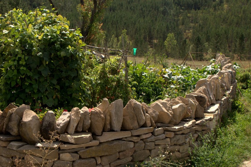 <p>Huerta en la ecoaldea de Ibort (Aragón)</p>