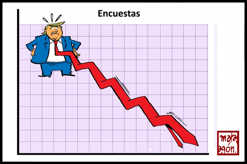 <p>Trump se hunde en las encuestas.</p>