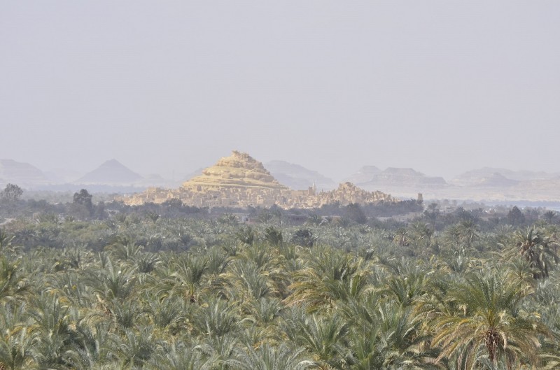 <p>El oasis de Siwa.</p>