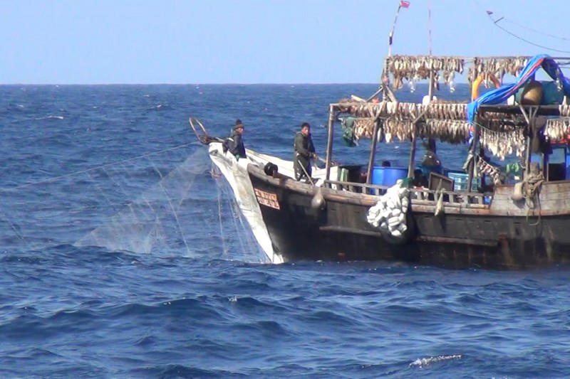 <p>South Korean squid fishermen in the East Sea (Sea of Japan). (October, 2017).</p>