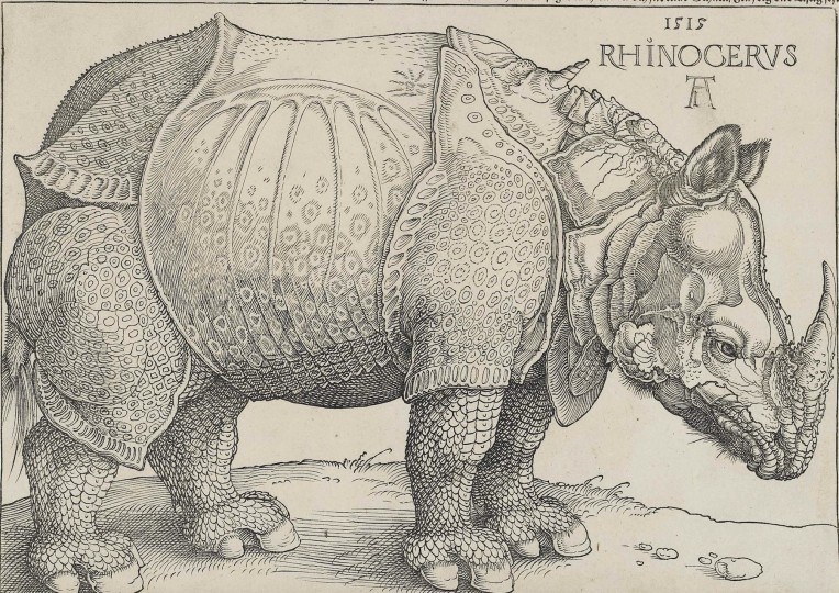 <p>El rinoceronte de Duero (1515).</p>