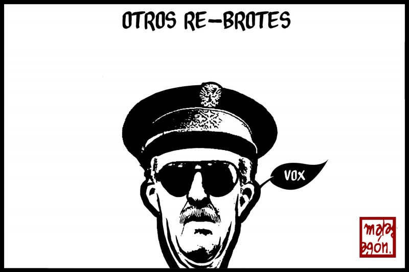 <p>Otros rebrotes.</p>