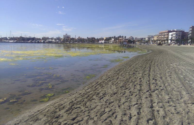 <p>Mar Menor eutrofizado y urbanizado.</p>