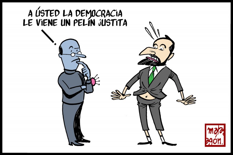 <p>Justito de democracia.</p>