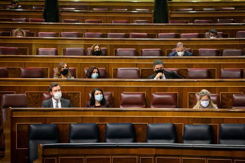 <p>La bancada de Vox durante el debate de los Presupuestos Generales del Estado para 2021.</p>