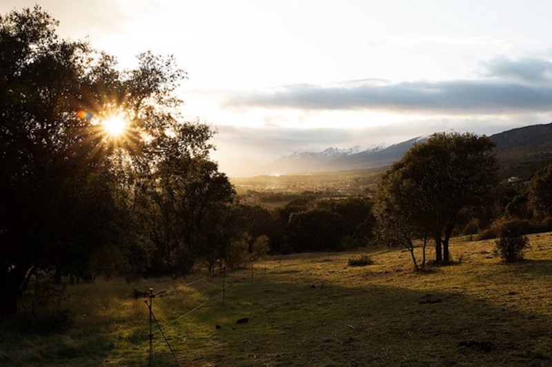 <p>Imagen del entorno en el que se ubica la organización Enrama, en la Sierra Norte de Madrid.</p>