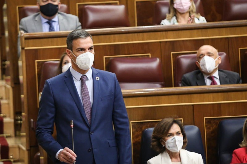 <p>Pedro Sánchez, durante la sesión de control al Gobierno. </p>
