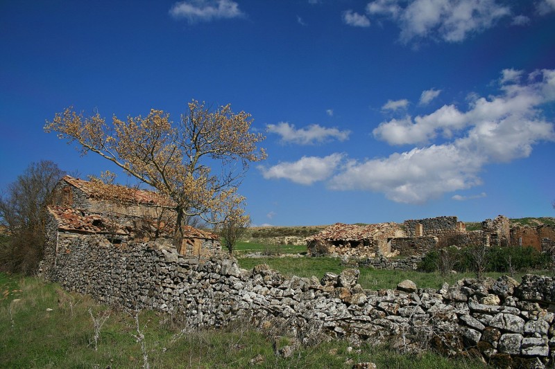 <p>Pozalmuro (Soria).</p>