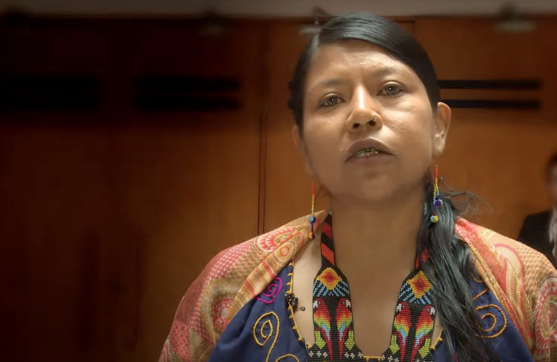 <p>La Representante indígena de Nasa (Colombia), Luz Mery Panche.</p>