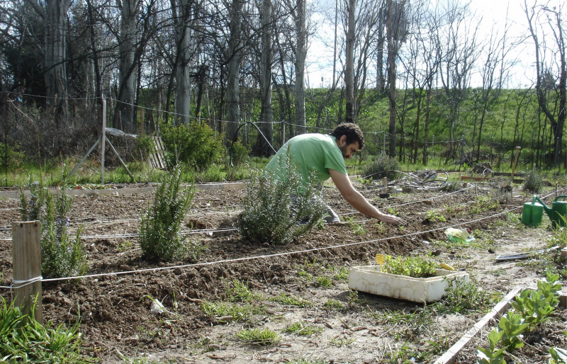 <p>Trabajando en la huerta.</p>