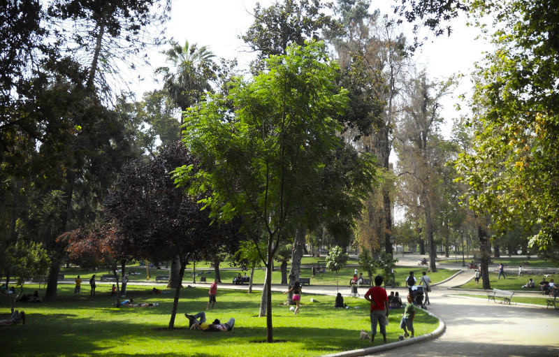 <p>Un parque en Santiago de Chile.</p>