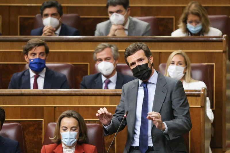 <p>Pablo Casado, durante la sesión de control al Gobierno. </p>