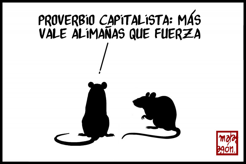 <p>Capitalismo.</p>