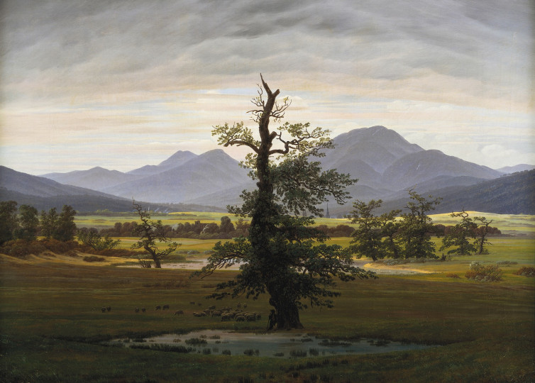 <p><em>Der einsame baum</em> (El árbol solitario), de Caspar David Friedrich (1822).</p>