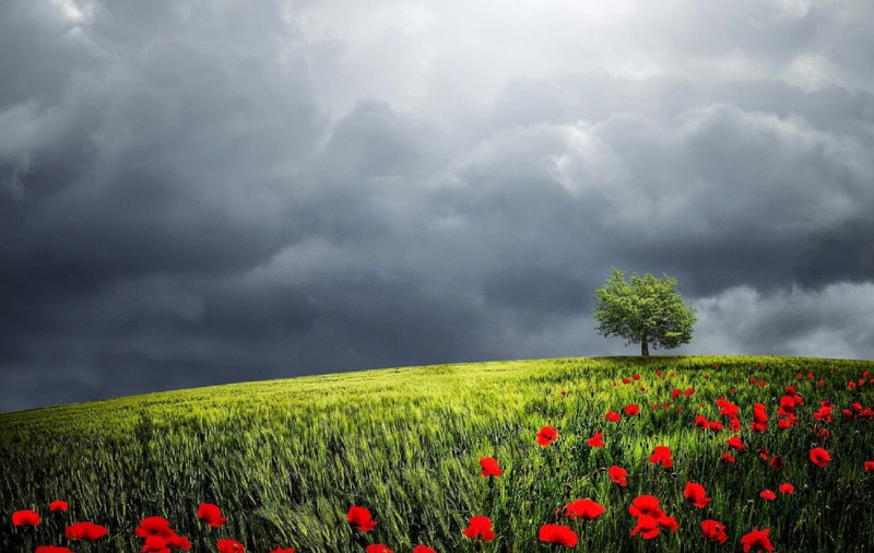 <p>Tormenta primaveral sobre el campo florido. </p>