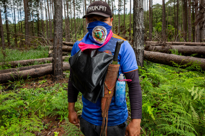 <p>Un miembro de los 'Pubenenses' (guarda indígena de la comunidad Misak) se encuentra en el área de los monocultivos de pinos y eucaliptos de la multinacional irlandesa Smurfit Kappa. Cajibío, Cauca, Colombia.</p>