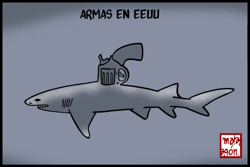 <p>Armas en EE.UU.</p>