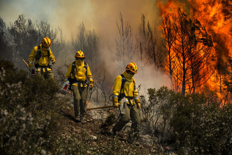 <p>Brigadistas trabajando para sofocar un incendio forestal. </p>
