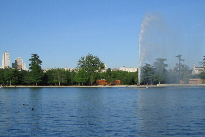 <p>Lago de la Casa de Campo (Madrid).</p>