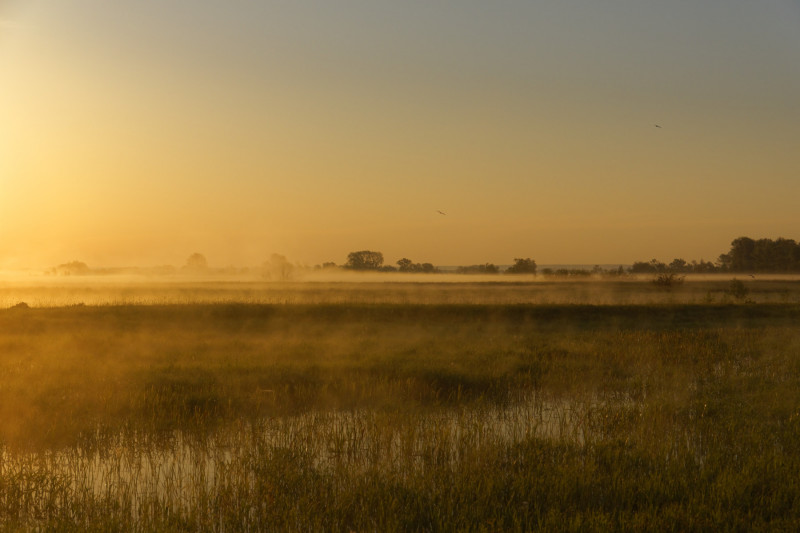 <p>Campos de Ucrania, cerca del río Desna.</p>