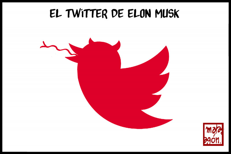 <p>El Twitter de Elon Musk.</p>