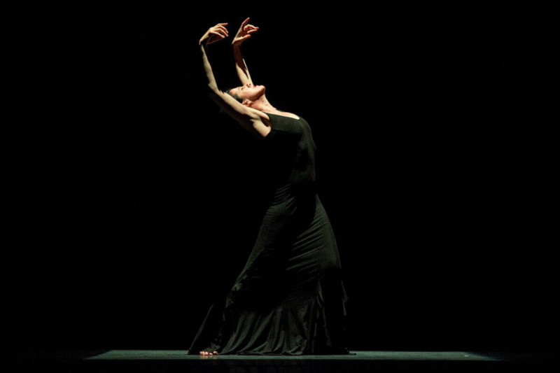 <p>La bailaora María Pagés, durante una de sus actuaciones.</p>