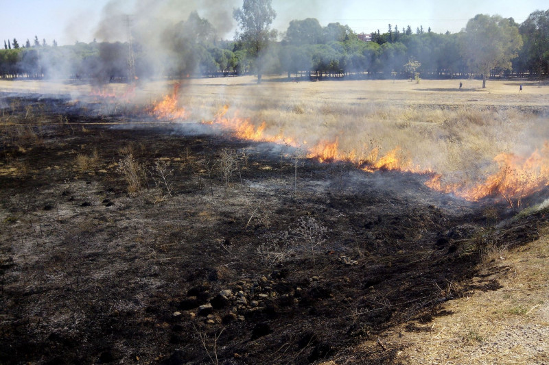 <p>Pequeño incendio en una parcela junto al canal de Sevilla Este, agosto de 2014.</p>