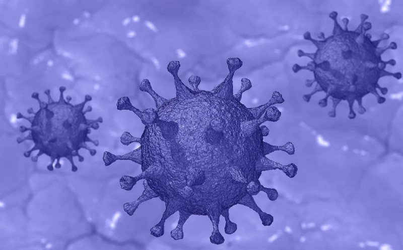 <p>Representación del coronavirus, causante de la enfermedad del covid. </p>