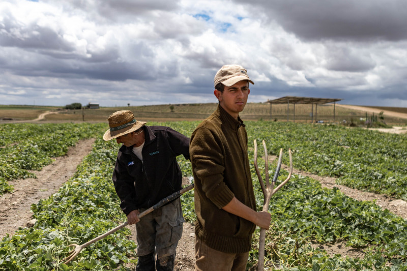 <p>Lele y su hijo trabajando la tierra. Ojos del Guadiana, Ciudad Real. / <strong>M. M.</strong></p>