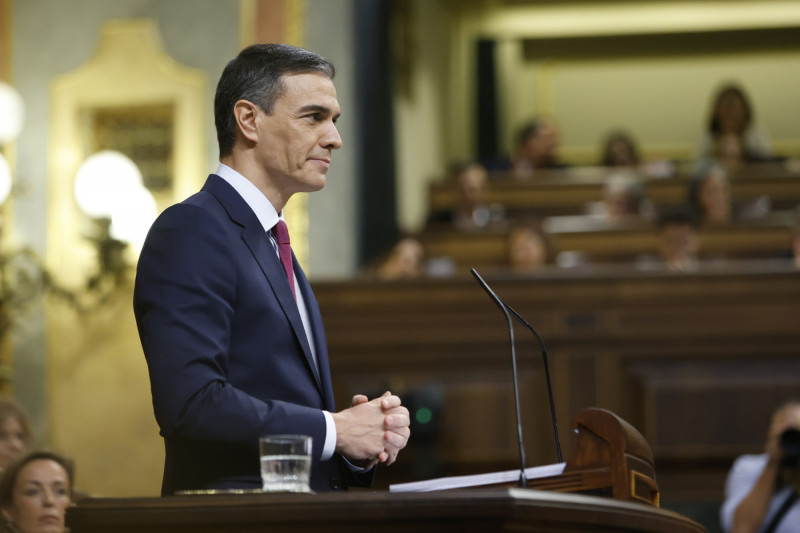 <p>Pedro Sánchez, durante su intervención inicial en el debate de investidura, el 15 de noviembre. <strong>/ Congreso de los Diputados</strong></p>
